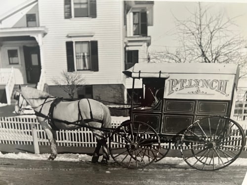 Horse and Buggy of local butcher/meat shop owner P. T Lynch.  Undated photo by Clara Barton Drew. Photo Courtesy of the Derby Hisorical Society
